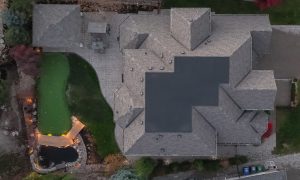 landscaping full backyard